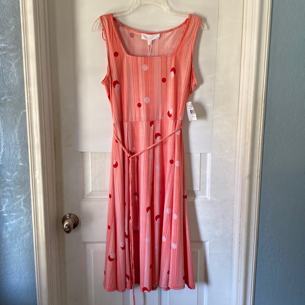 Dress. Very cute summer dress